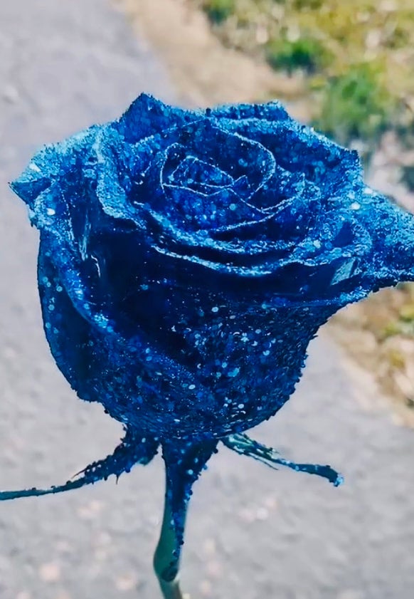 Valentines 2026 | Augusta Flowers